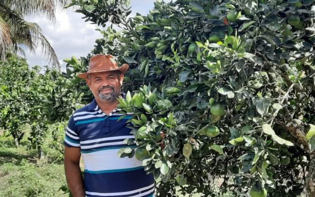 Pronaf: laranja na BA e caupi no TO têm bônus de até 60% em outubro