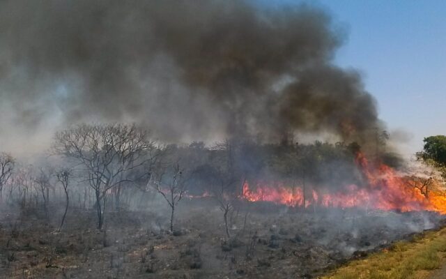 Emergência no Tocantins não suspende dívida, mas laudo de perda pode embasar renegociação
