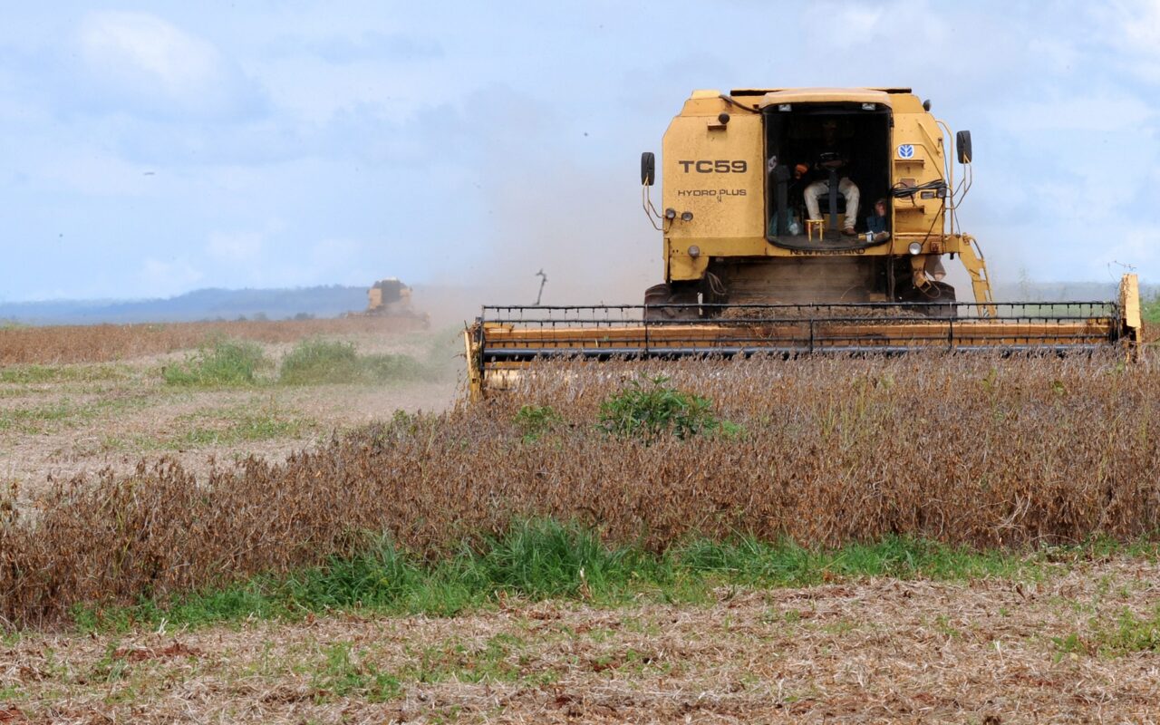 Colheita de soja: a Conab prevê produtividade menor nos quatro estados do Matopiba em 2026/27