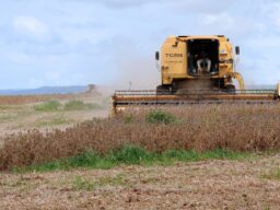 Matopiba planta 211 mil hectares a mais de soja, mas a Conab prevê colher menos