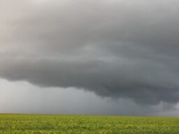 Oeste da Bahia tem três dias de chuva previstos e depois nove quase secos