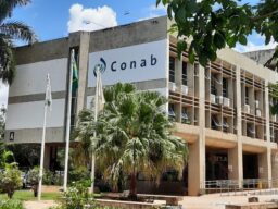 Conab vê soja +0,7% e exportação em alta na safra 2026/27: o que olhar no Matopiba