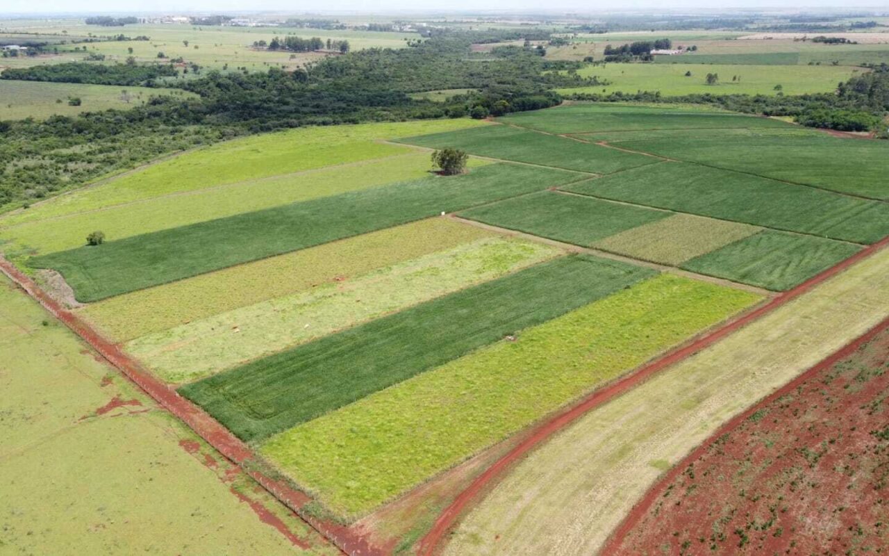 Vista aérea de talhões de lavoura ao lado de fragmento de vegetação nativa em Rio Verde (GO), cenário do estudo da Embra
